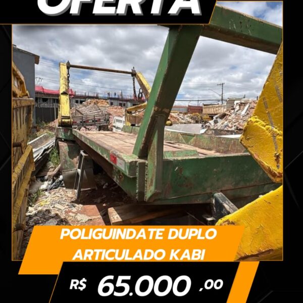 VW 24220 / 2010 POLIGUINDASTE DUPLO